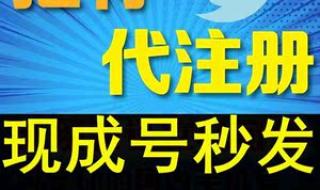 twitter收不到验证码这是什么原因 twitter注册